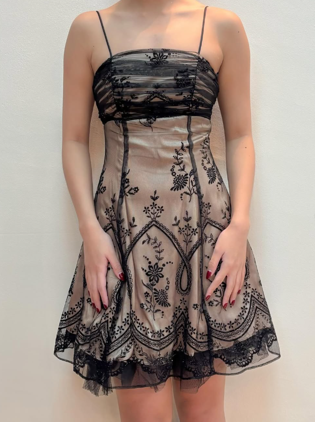 Vintage A Line Spaghetti Strap Embroidery Chiffon Satin Short Homecoming Dress SH2053