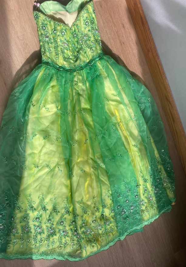 Vintage Summer Green A Line Exquisite Embroidery Tulle Prom Dress Evening Dress SH5902