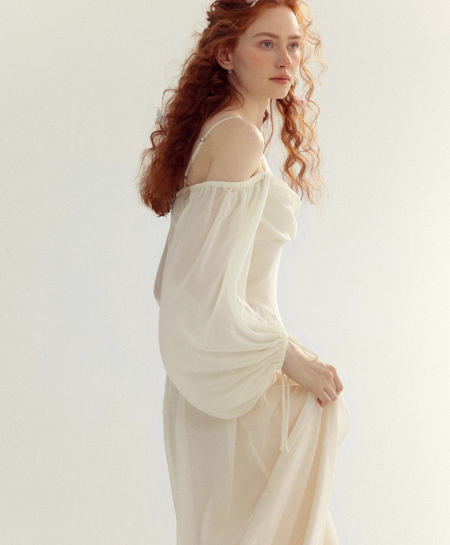 Ivory Gentle A Line Long Sleeve Chiffon Long Prom Dress Party Dress Outfits SH4149