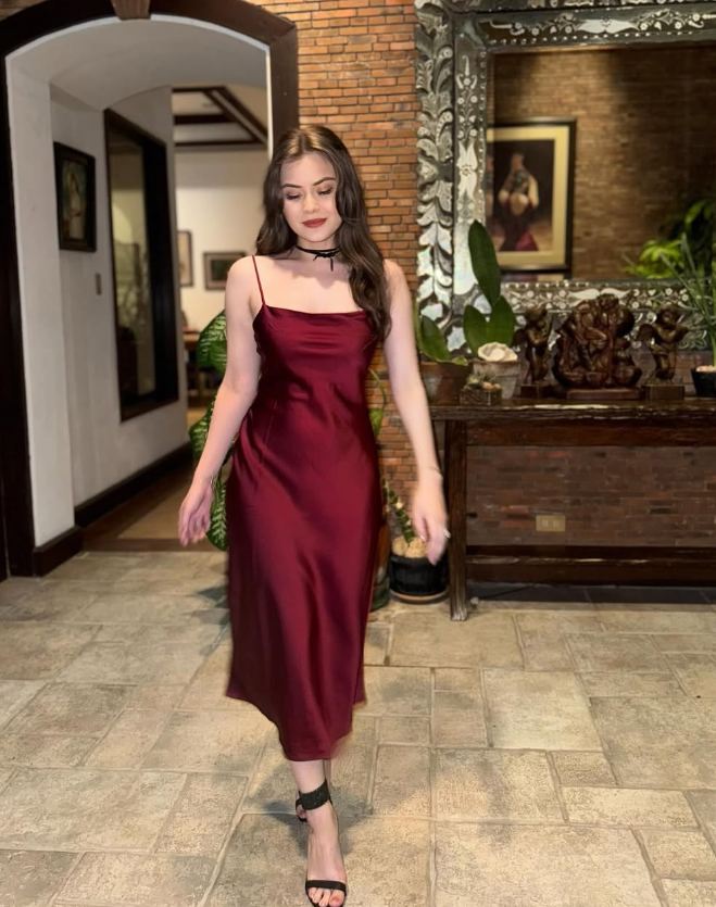 Fashion Sheath Spaghetti Straps Burgundy Prom Dresses Evening Dress SH1520