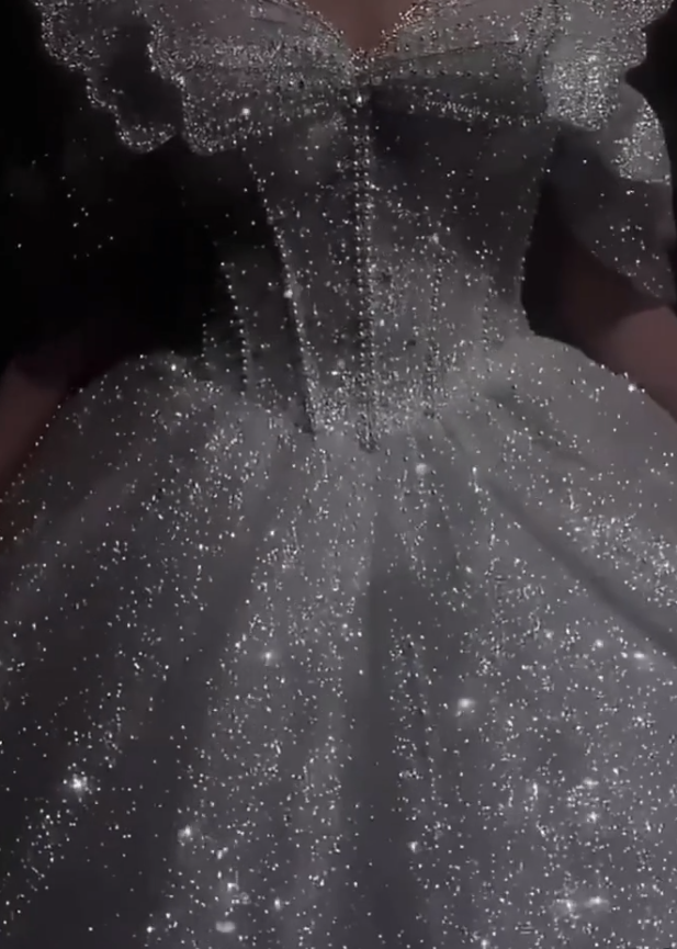 Stunning Ball Gown Strapless Beaded Sequin Prom Dress Wedding Dress with Butterfly SH4456