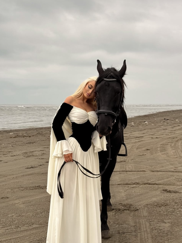 Classic White Black A Line Long Sleeve Velvet Chiffon Long Prom Dress Evening Dress SH3790