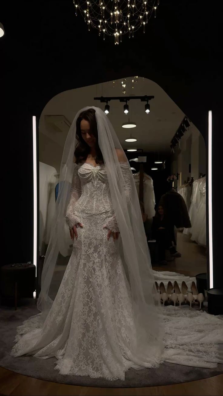Luxurious Mermaid Long Sleeve Pearl Lace Long Wedding Dress SH7333
