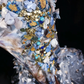 Gorgeous Mermaid Straps Appliques Print Flower Organza Satin Prom Dress Evening Dress SH3333