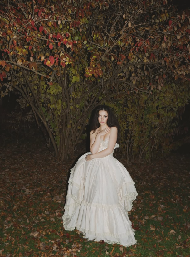 Princess Ball Gown Strapless Ivory Lace Satin Long Prom Dress Party Dress SH5317
