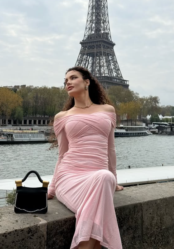 Gentle Pink Sheath Long Sleeve Tulle Long Prom Dress Party Dress SH6422