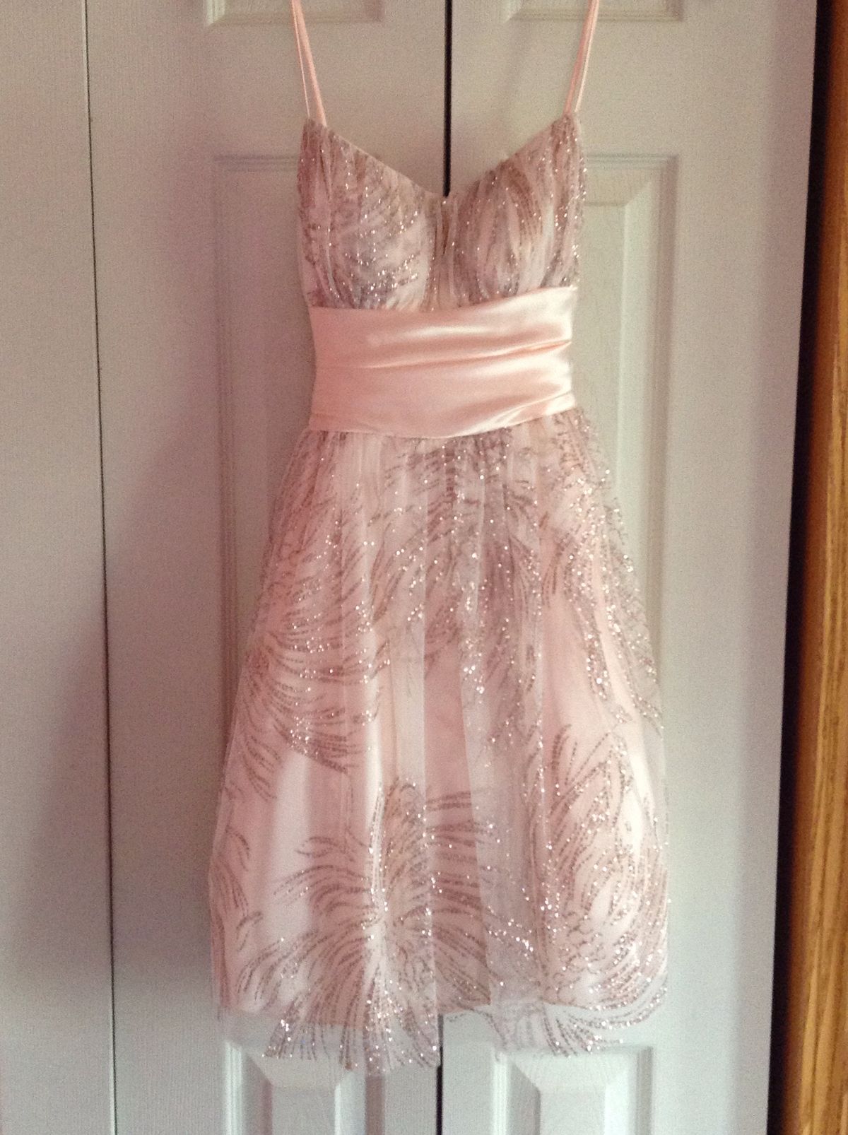 Princess Pink A Line Spaghetti Strap Sequin Tulle Short Prom Dress Homecoming Dress SH7954