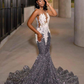 Charming Sequins Mermaid Evening Dress Long Prom Dress SH976