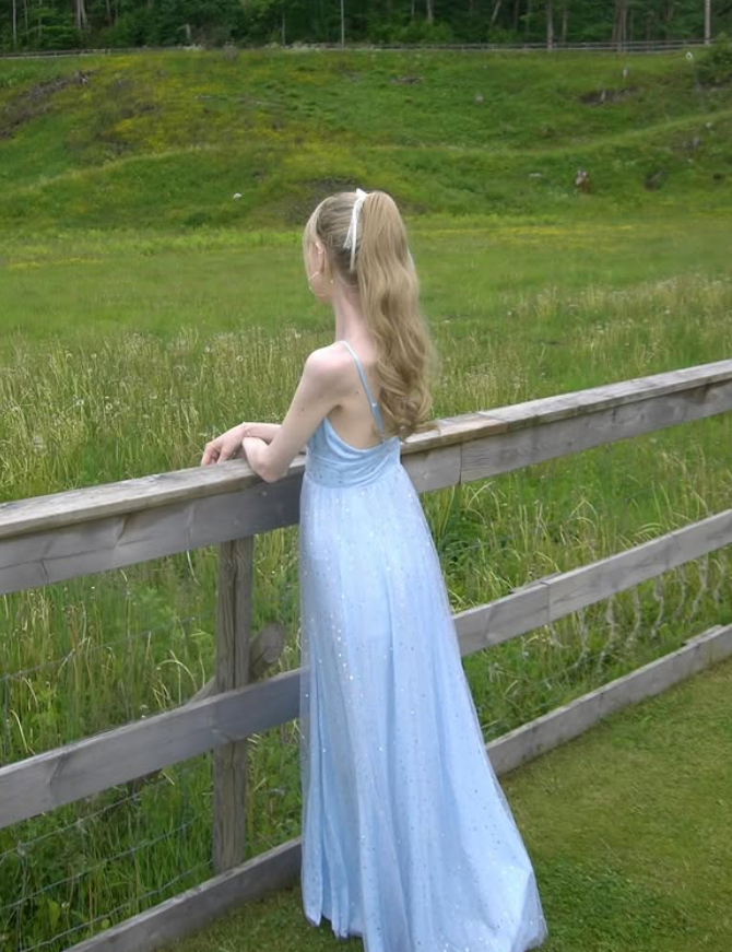 Baby Blue A Line V Neck Sequin Satin Tulle Long Prom Dress Date Dress SH6508