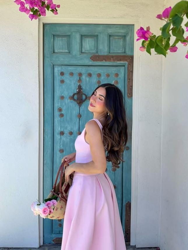 Princess Pink A Line Spaghetti Strap Simple Satin Prom Dress Vacation Dress SH6254