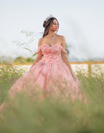 Pink Sweetheart Neck Corset 3D Flower Tulle Ball Gown Sweet 16 Dress Quinceanera Dress SH2162