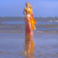 Dreamy A Line Straps Beaded Orange Tulle Prom Dress Graduation Prom Dress SH2656