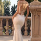 Elegant Ivory Mermaid Spaghetti Straps Lace Prom Dress Evening Dress SH5768