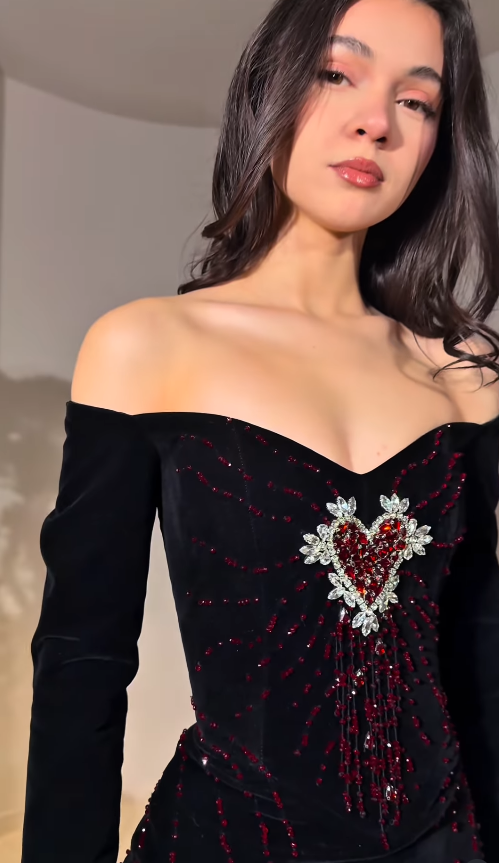 Sexy Black A Line Long Sleeve Exquisite Red Beaded Velvet Long Prom Dress Evening Dress SH6749