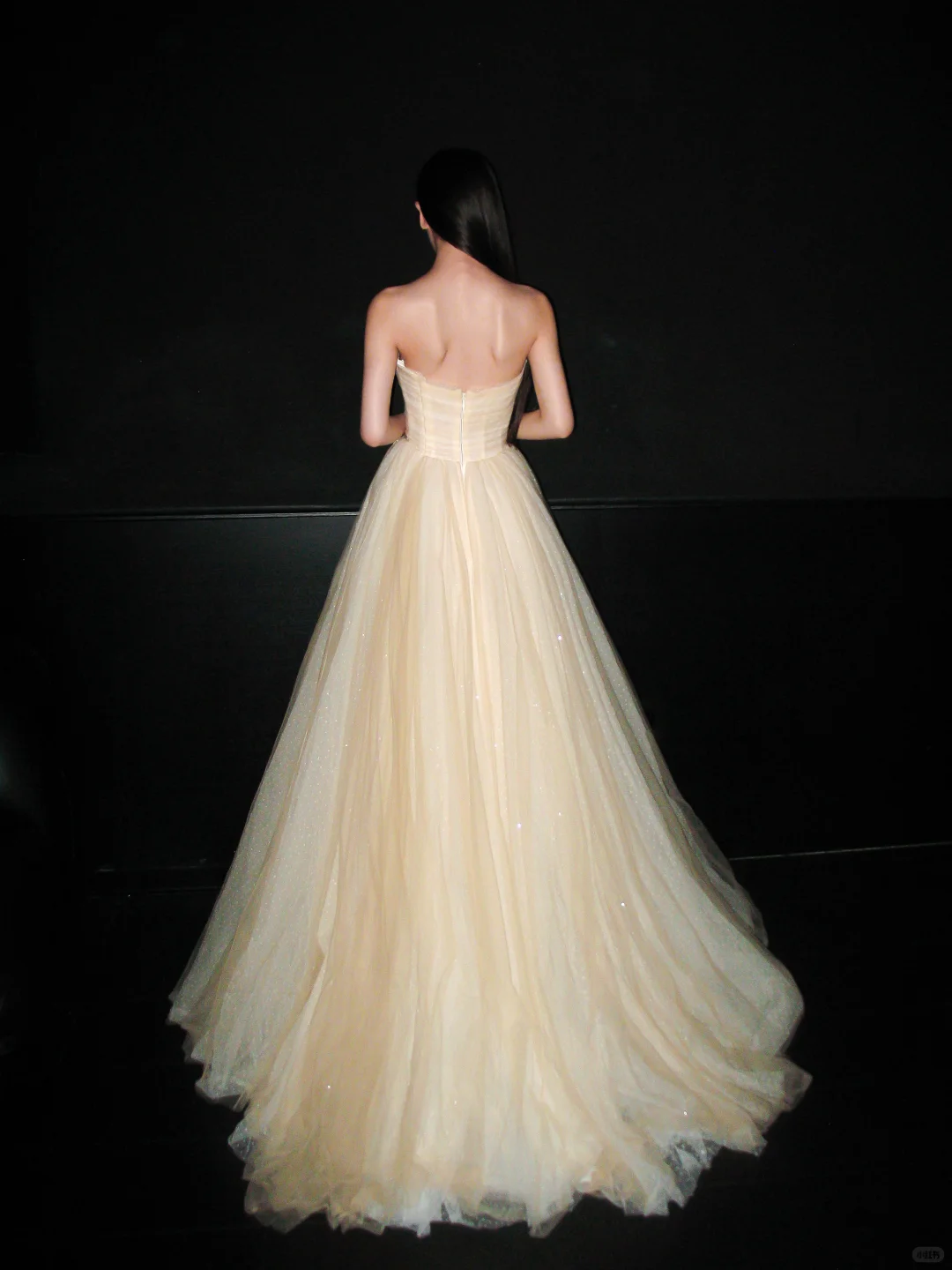 Champagne Ball Gown Sweetheart Neck Appliques Tulle Long Prom Dress Wedding Dress SH8895