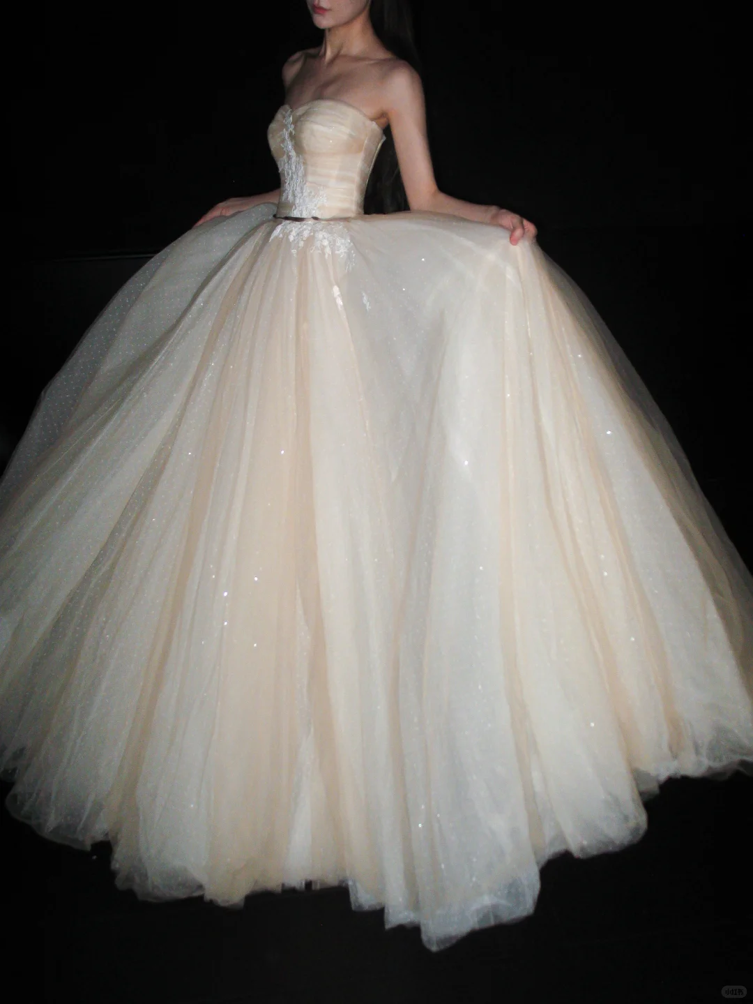 Champagne Ball Gown Sweetheart Neck Appliques Tulle Long Prom Dress Wedding Dress SH8895