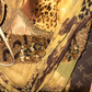 Sexy Leopard Print Satin Chiffon Prom Dress Party Evening Dress SH6000
