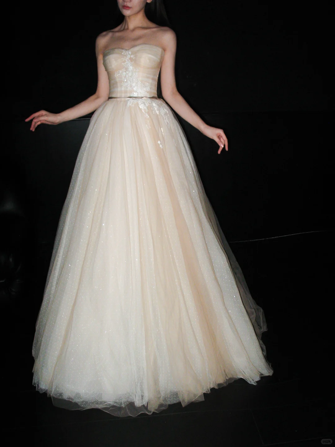 Champagne Ball Gown Sweetheart Neck Appliques Tulle Long Prom Dress Wedding Dress SH8895