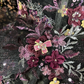 Vintage Black Lace Purple Appliques Ball Gown Strapless Prom Dress Sweet 16 Dress SH5799