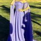 Elegant Blue Chiffon Applique Prom Dress Long Evening Dress SH1013