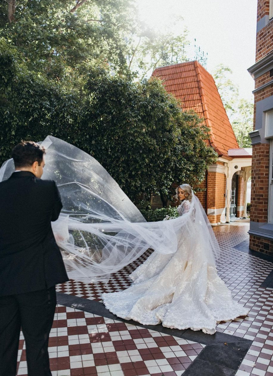 Elegant Ball Gown Long Sleeve V Neck Appliques White Tulle Wedding Dress with Sweep Train SH1993