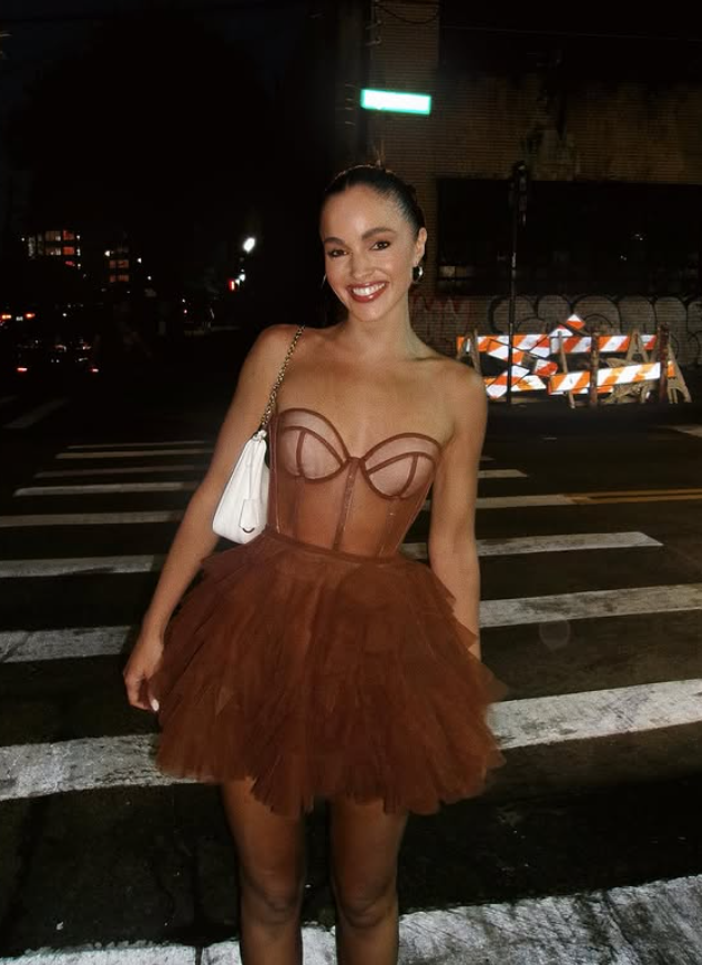 Cute A Line Sweetheart Neck Layered Brown Tulle Short Homecoming Dress SH4818