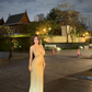 Sexy Sheath Halter Yellow Satin Open Back Prom Dress Vacation Dress SH5192