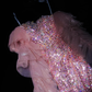Shiny Pink Mermaid Sweetheart Neck Tulle Sequin Long Prom Dress Evening Dress SH3348