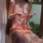 Dreamy Pink A Line V Neck Sequin Tulle Open Back Prom Dress Party Dress SH4080