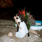Cute A Line Bowknot Strap White Satin Long Wedding Dress SH8252