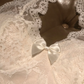 Two Piece A Line Halter Lace Short Prom Dress Homecoming Dress SH7181