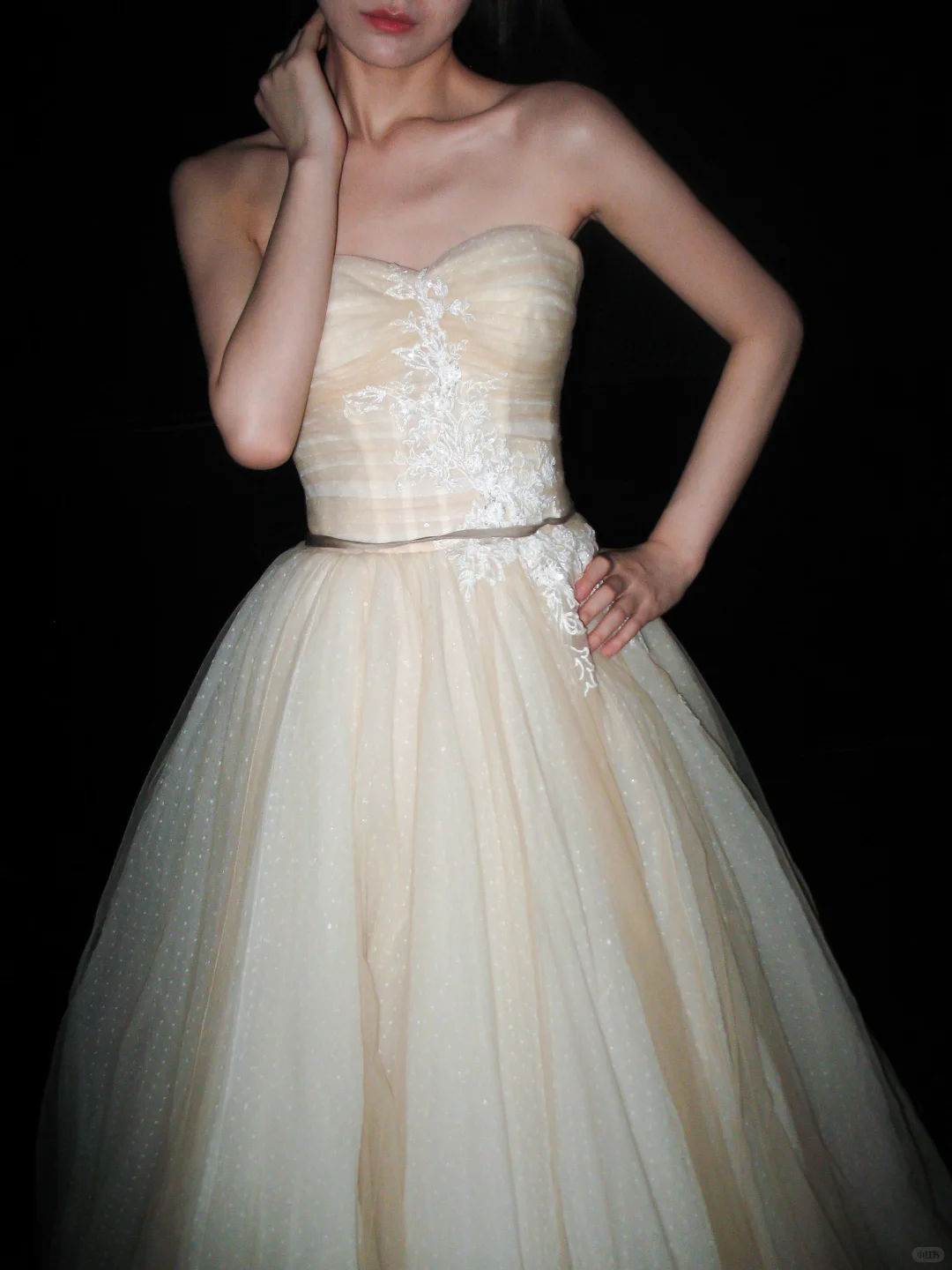 Champagne Ball Gown Sweetheart Neck Appliques Tulle Long Prom Dress Wedding Dress SH8895