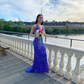 Shiny Royal Blue Sequins Mermaid Evening Dress Long Prom Dress SH987