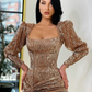 Shiny Dark Champagne Sheath Long Sleeve Sequin Prom Dress Evening Dress with Slit SH6124