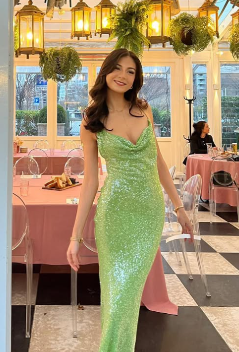 Green Sheath Spaghetti Straps Sequin Open Back Long Prom Dress Evening Dress SH1788