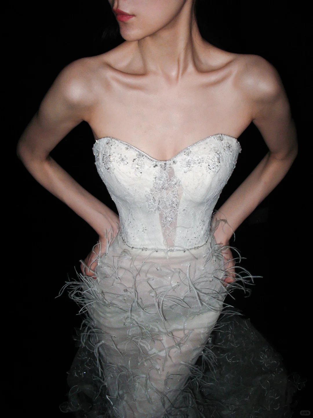 Glamorous Mermaid Sweetheart Neck Beaded Feather Lace Long Wedding Dress SH5959