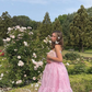 Pretty A Line Sweetheart Neck Sweety Organza Prom Dress Evening Dress SH4874