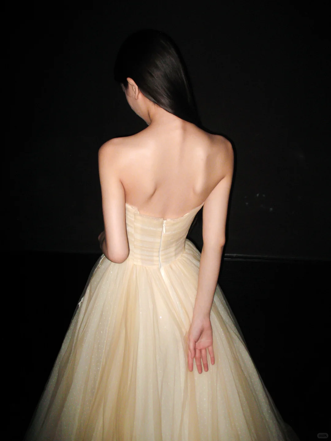 Champagne Ball Gown Sweetheart Neck Appliques Tulle Long Prom Dress Wedding Dress SH8895