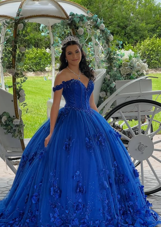 Royal Blue Tulle Beaded Applique Long Prom Dress Quinceanera Dress Ball Gown SH5183