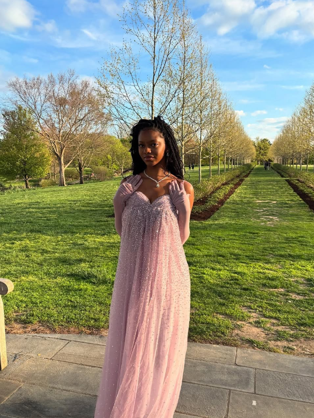 Gentle Pink A Line Spaghetti Strap Sequin Tulle Long Prom Dress Evenin shinydress Gentle Pink A Line Spaghetti Strap Sequin Tulle Long Prom Dress Evenin shinydress