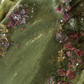 Dazzling Mermaid V Neck Appliques Green Sequin Prom Dress Evening Dress SH6332