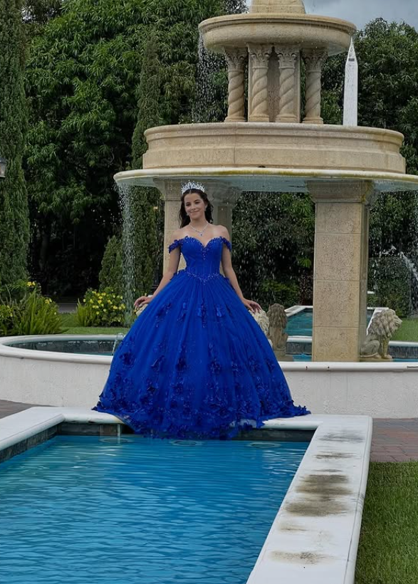 Royal Blue Tulle Beaded Applique Long Prom Dress Quinceanera Dress Ball Gown SH5183