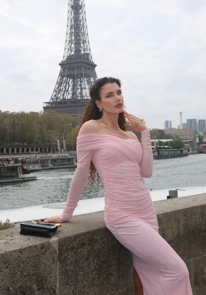 Gentle Pink Sheath Long Sleeve Tulle Long Prom Dress Party Dress SH6422