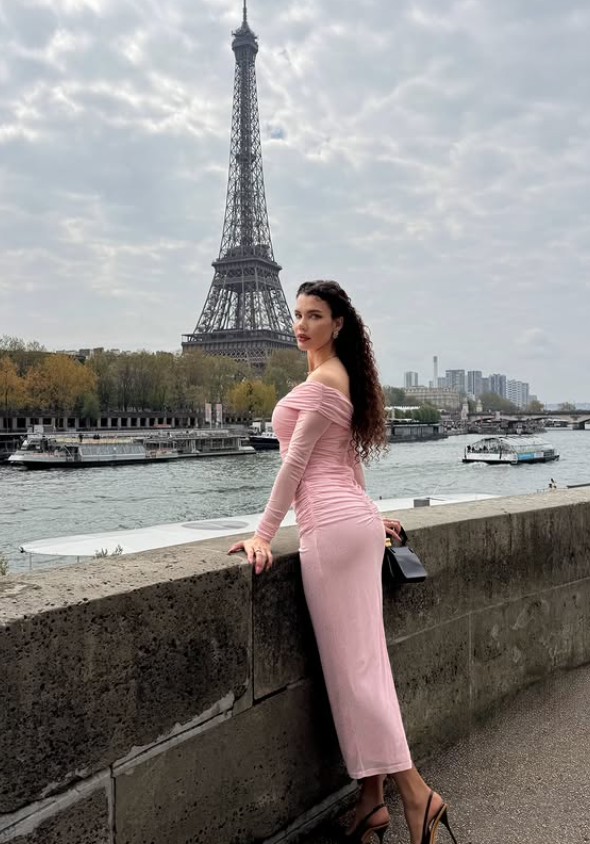 Gentle Pink Sheath Long Sleeve Tulle Long Prom Dress Party Dress SH6422