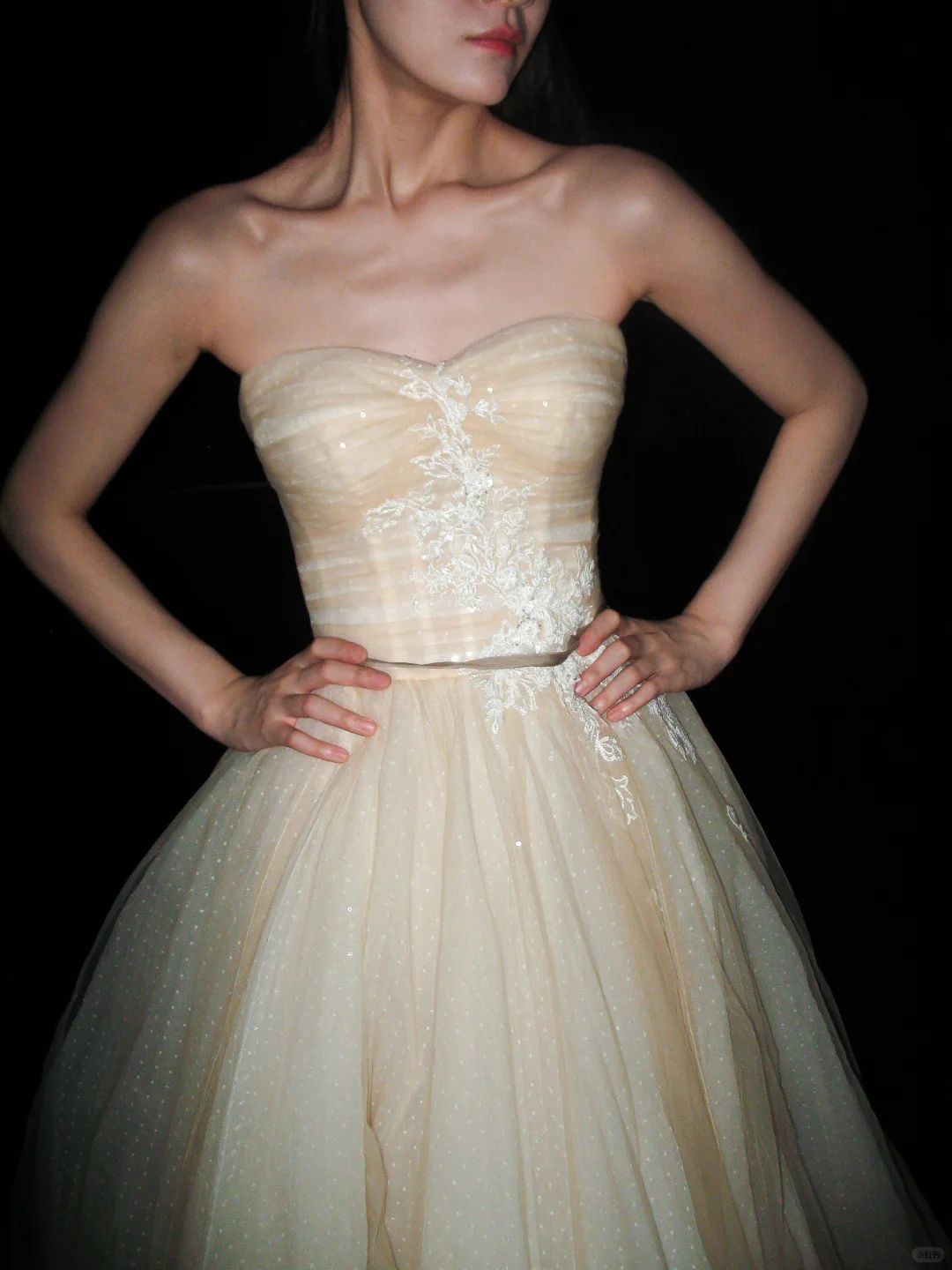 Champagne Ball Gown Sweetheart Neck Appliques Tulle Long Prom Dress Wedding Dress SH8895