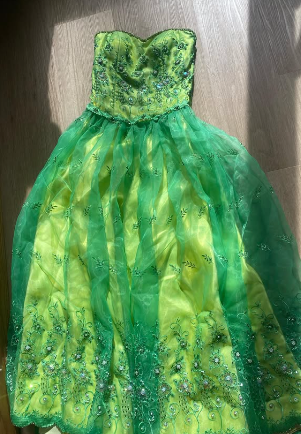 Vintage Summer Green A Line Exquisite Embroidery Tulle Prom Dress Evening Dress SH5902