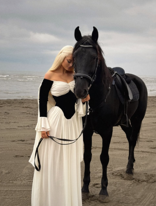 Classic White Black A Line Long Sleeve Velvet Chiffon Long Prom Dress Evening Dress SH3790