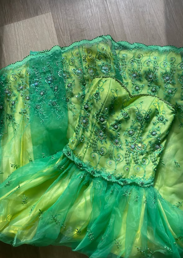 Vintage Summer Green A Line Exquisite Embroidery Tulle Prom Dress Evening Dress SH5902