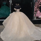 Shiny Quinceanera Dresses Applique Corset Ball Gown Prom Sweet 16 Dress  SH1076