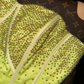 Shiny A Line Sweetheart Neck Rhinestone Satin Chiffon Long Party Dress Evening Dress SH3231